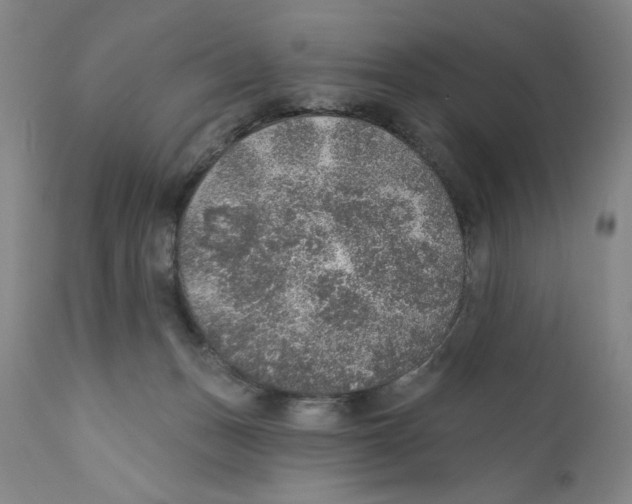 X0000110760175200907131218