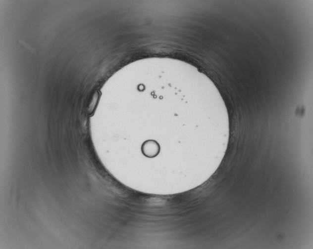 X0000110760176200907131218