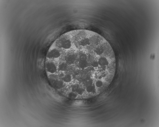 X0000110760177200907131218