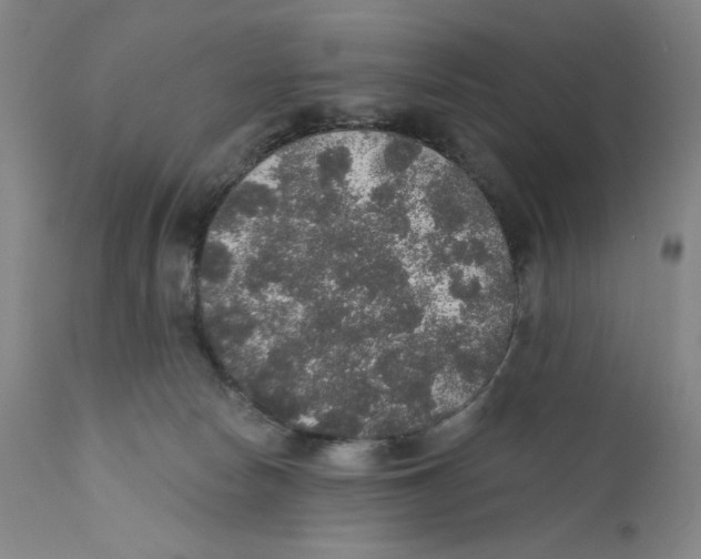 X0000110760178200907131218