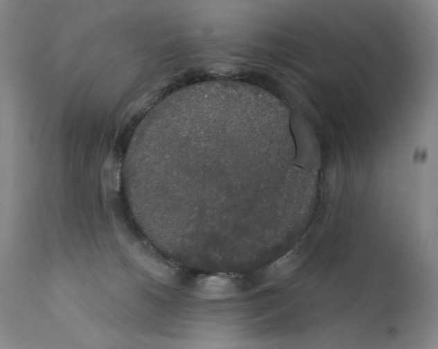 X0000110760180200907131218