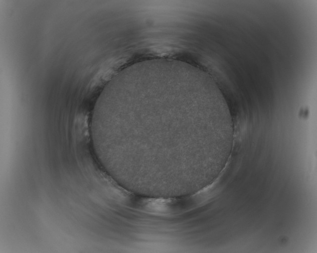 X0000110760182200907131218