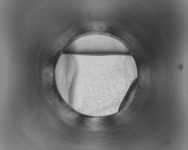 X0000110760184200907131218