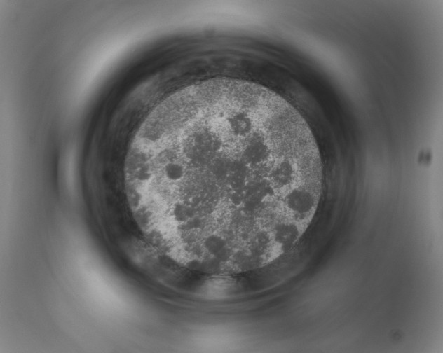 X0000110760189200907131218