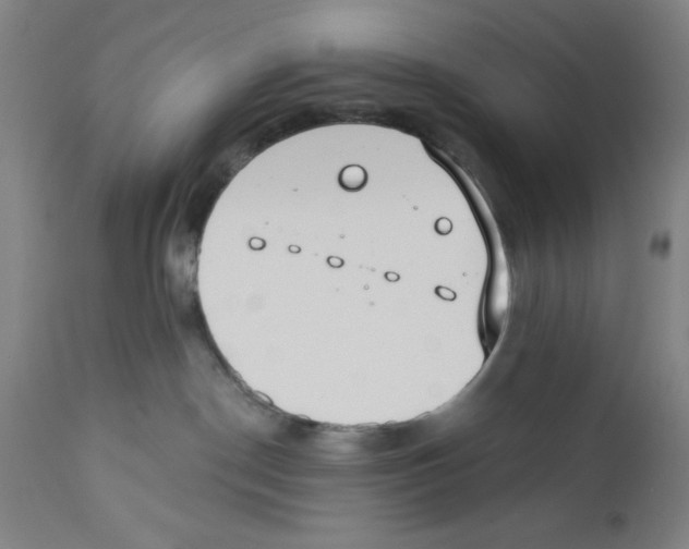 X0000110760190200907131219