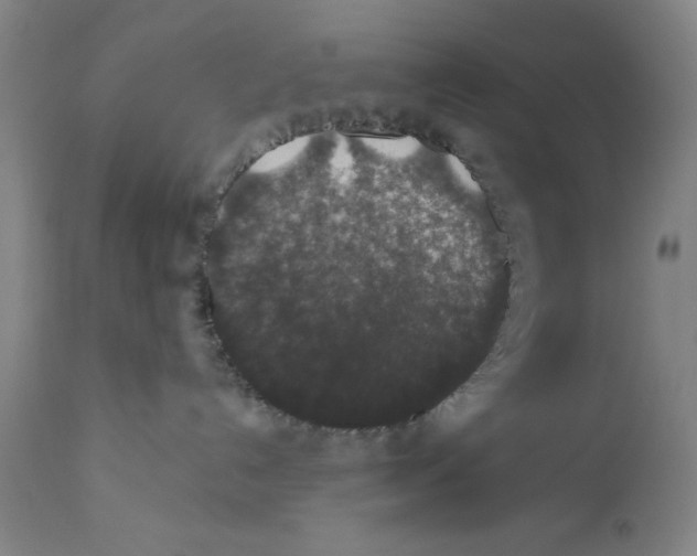 X0000110760192200907131219