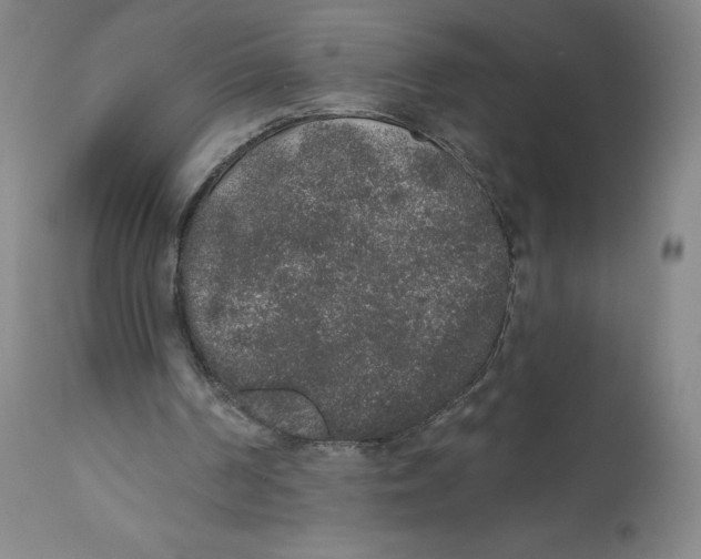 X0000110760194200907131218
