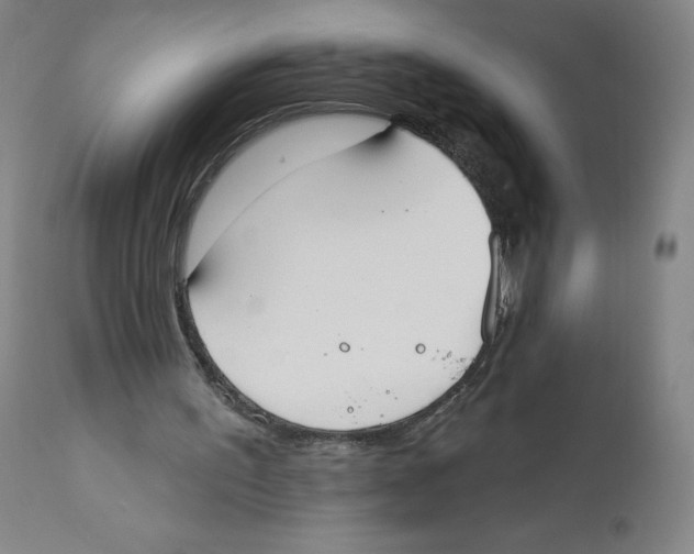 X0000110760195200907131218