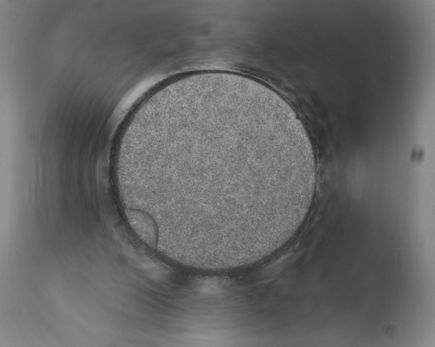X0000110760200200907131218