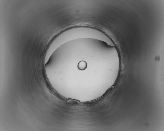 X0000110760201200907131218