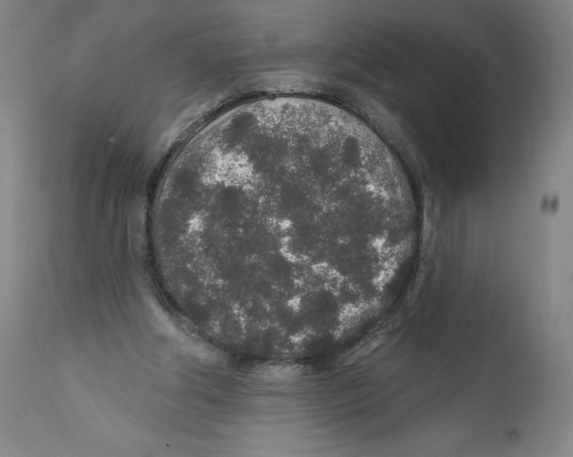 X0000110760202200907131218