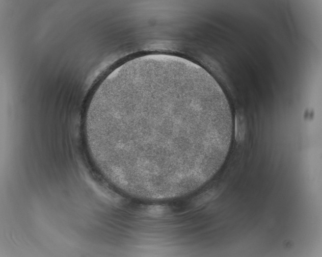 X0000110760204200907131218