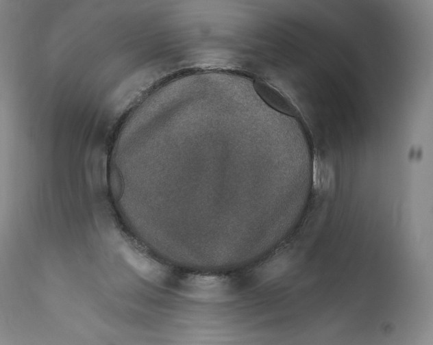X0000110760205200907131218