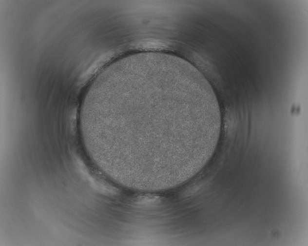 X0000110760206200907131218