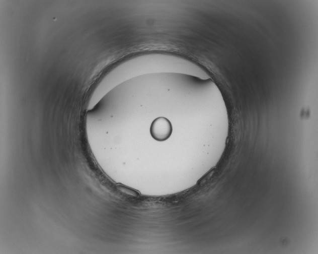 X0000110760207200907131218