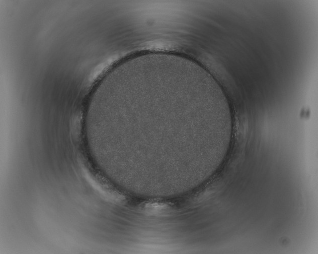 X0000110760208200907131218