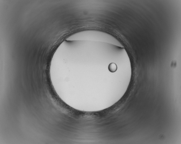 X0000110760209200907131218