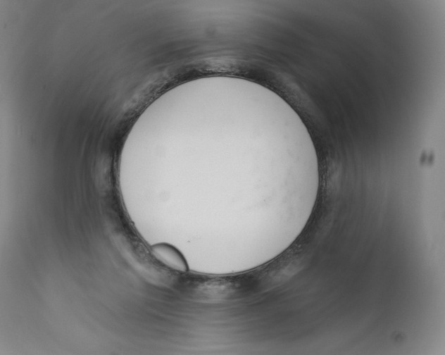 X0000110760213200907131218