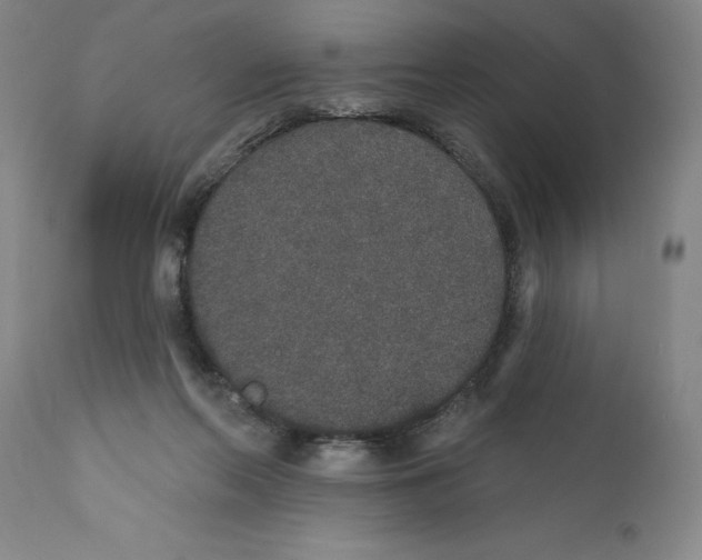 X0000110760214200907131218
