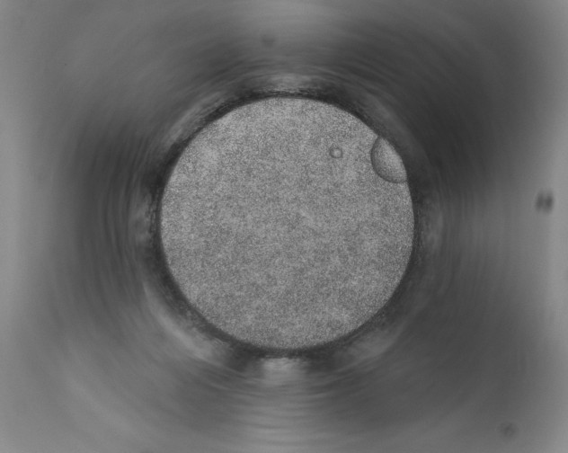 X0000110760216200907131218