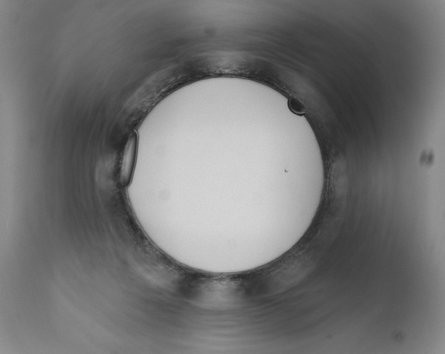 X0000110760217200907131218