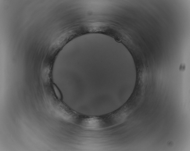 X0000110760219200907131218