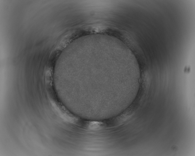 X0000110760222200907131217