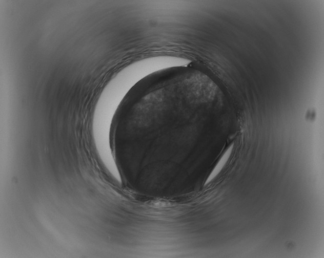 X0000110760223200907131217