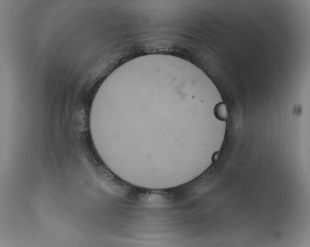 X0000110760224200907131217