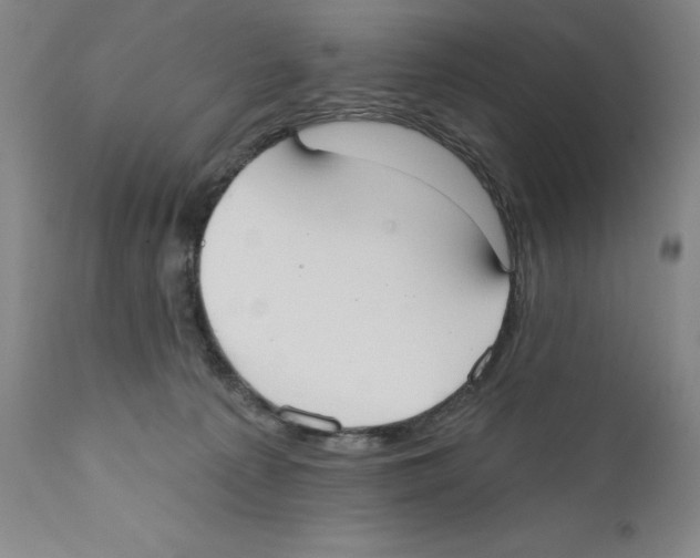 X0000110760225200907131217