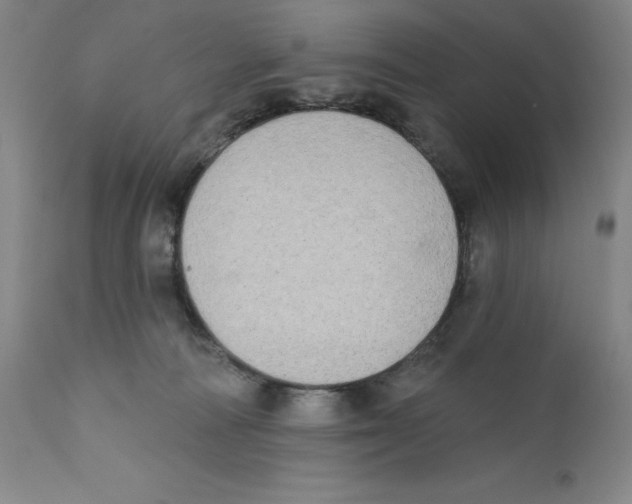 X0000110760226200907131217