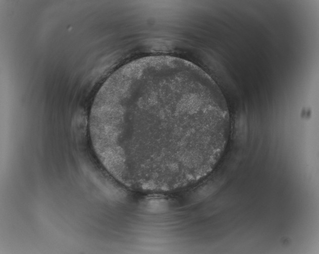 X0000110760228200907131217