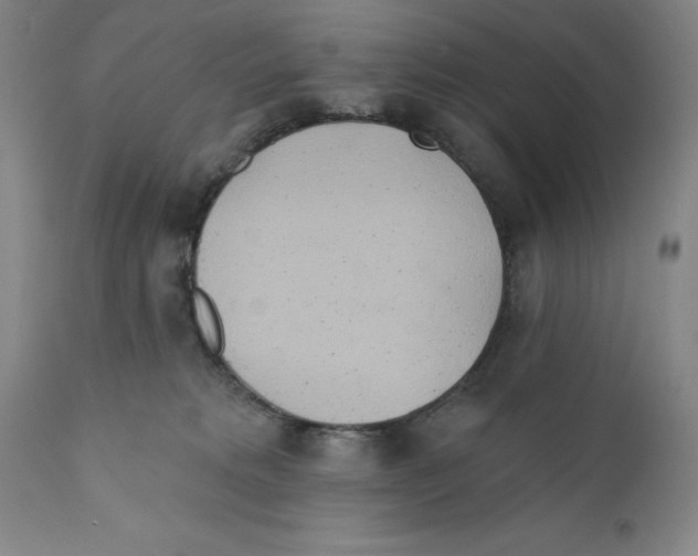 X0000110760229200907131217