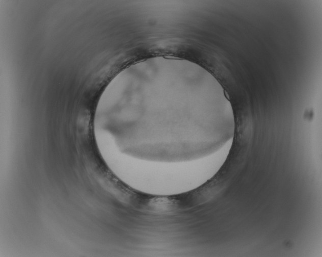 X0000110760231200907131217