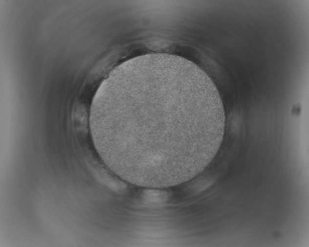 X0000110760234200907131217