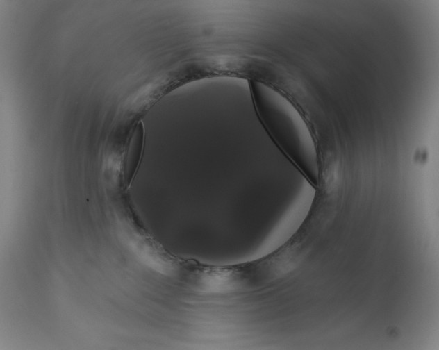 X0000110760235200907131217