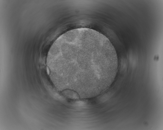 X0000110760236200907131217
