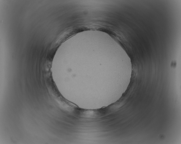 X0000110760237200907131217