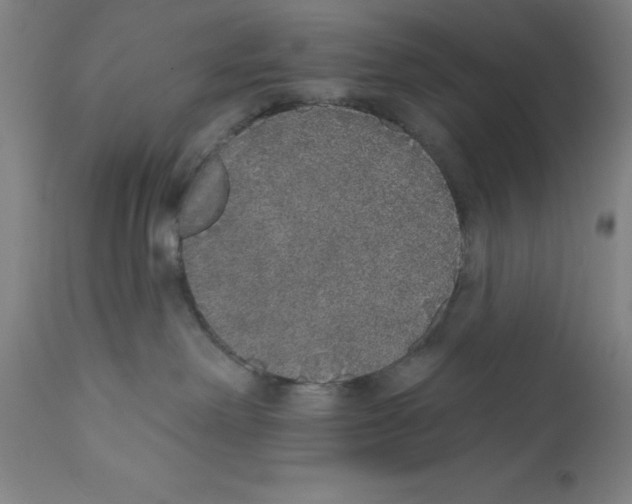 X0000110760238200907131217