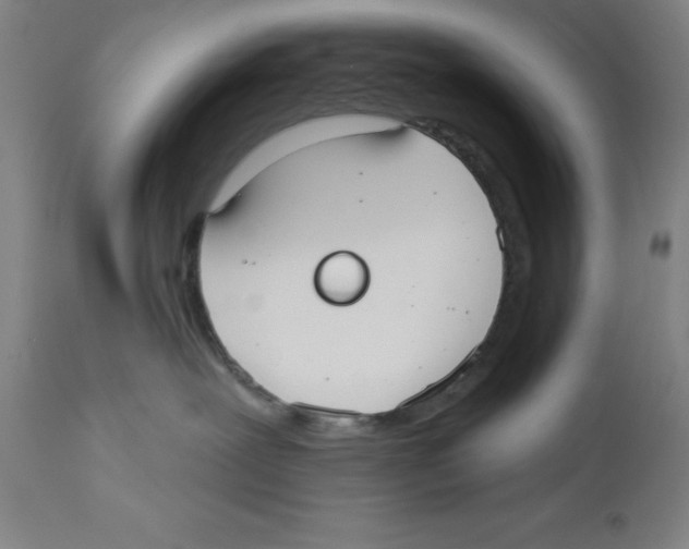X0000110760239200907131217