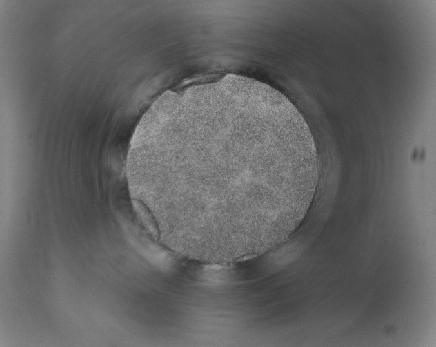 X0000110760240200907131217