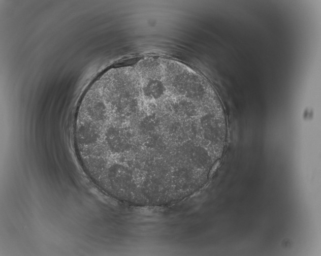 X0000110760241200907131216