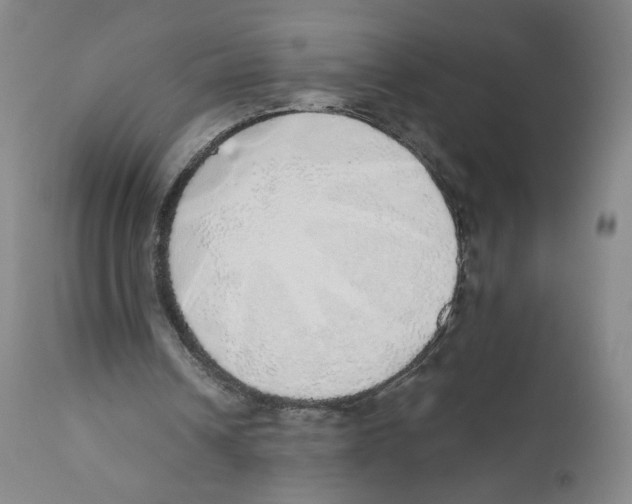 X0000110760242200907131216