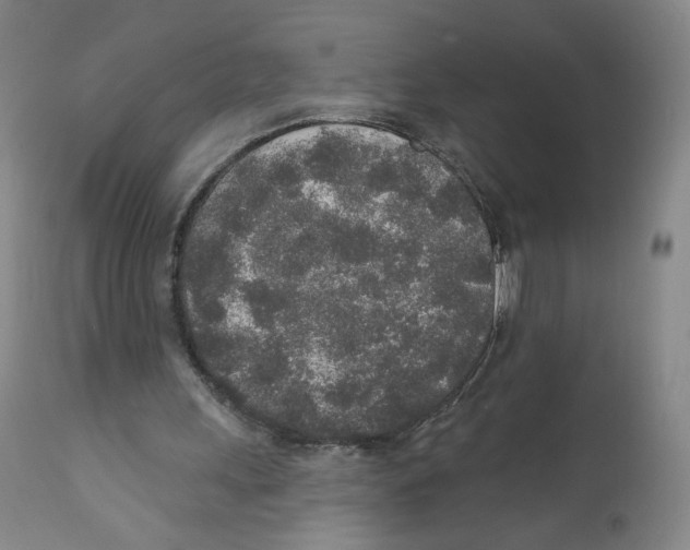 X0000110760243200907131216