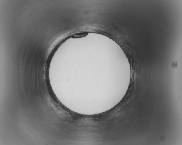 X0000110760244200907131216
