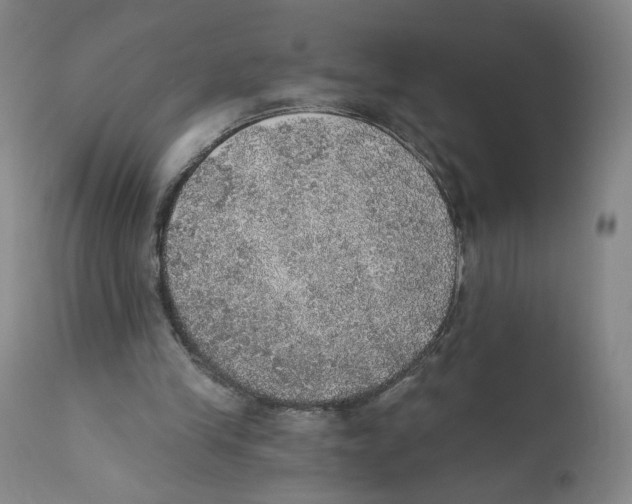 X0000110760245200907131216