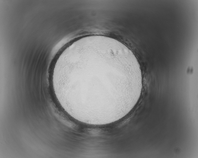 X0000110760246200907131216