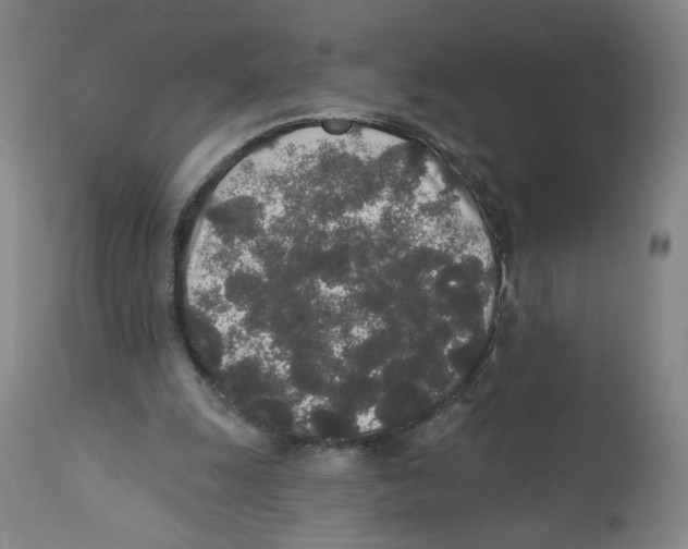 X0000110760247200907131216