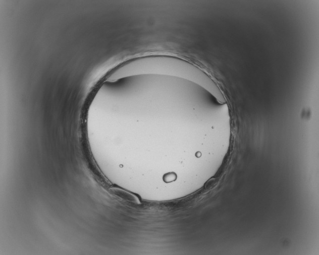 X0000110760248200907131216