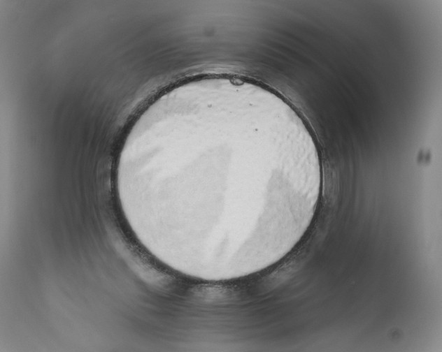 X0000110760253200907131217